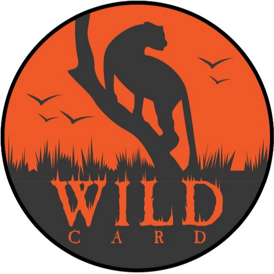 Wild Card Avatar de canal de YouTube