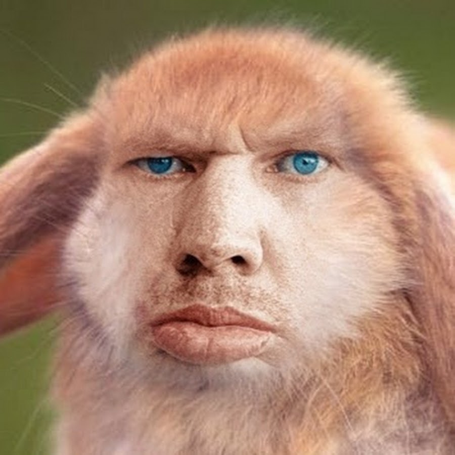 AAUvwngNgQerTFfEy-91qEDSjwcg7HgvuW3anLJFnsOrVw=s900-c-k-c0x00ffffff-no-rj