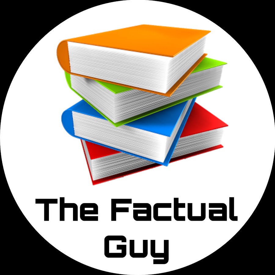 THE FacTUaL GuY YouTube channel avatar