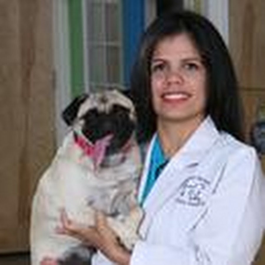 Dr. Mitsie Vargas YouTube channel avatar