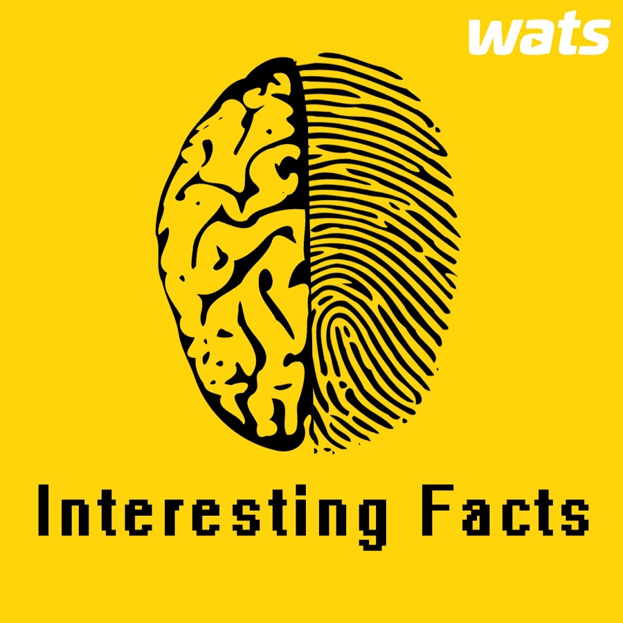 Interesting Facts -