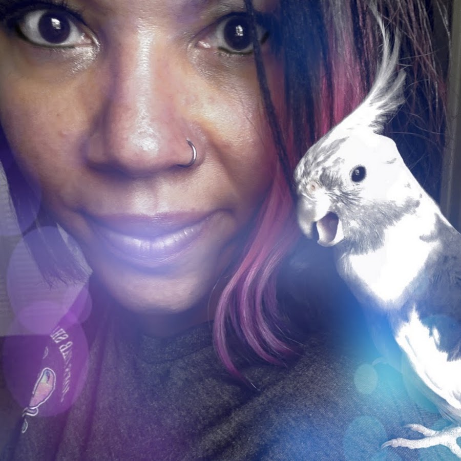 The Parakeet Perch Avatar de chaîne YouTube
