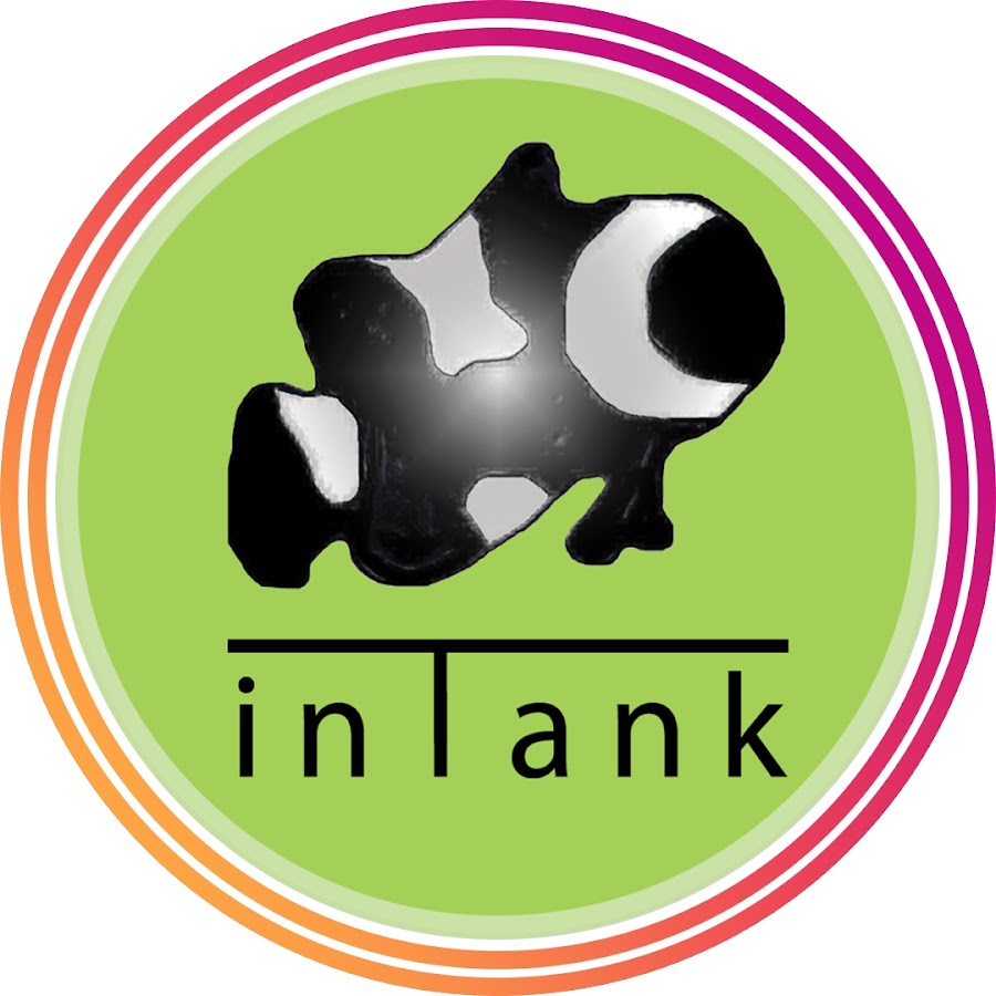 inTank Aquatics