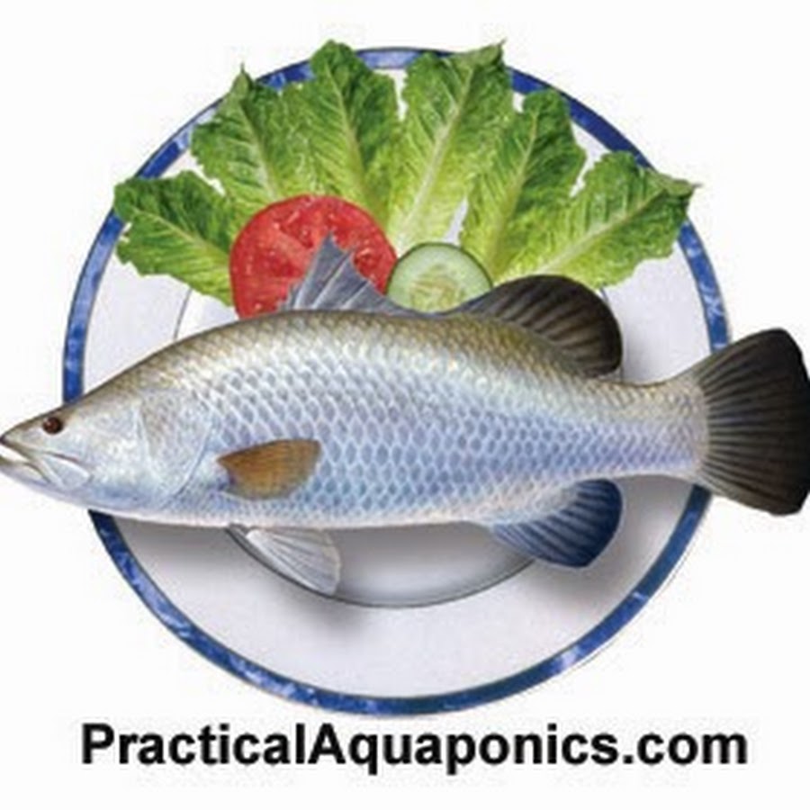 Murray Hallam's Practical Aquaponics. YouTube channel avatar