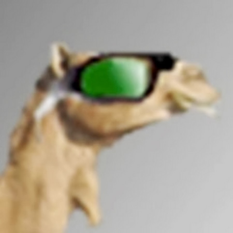 Tactical Camel YouTube channel avatar