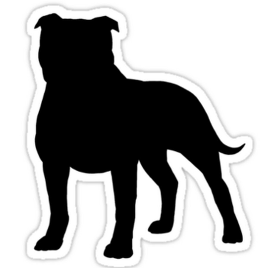 Staffordshire Bull Terrier Tips Avatar canale YouTube 