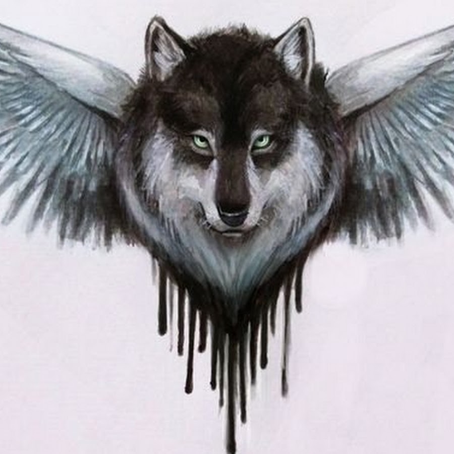 Wytse Wolf Avatar canale YouTube 