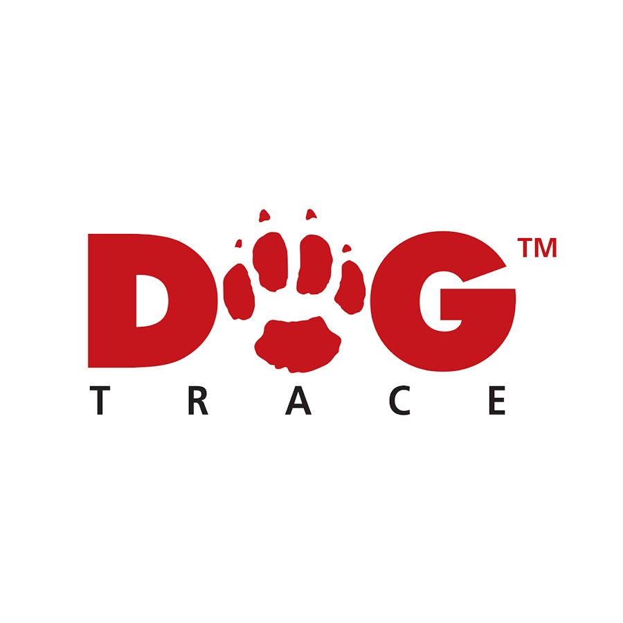 Dogtrace YouTube channel avatar