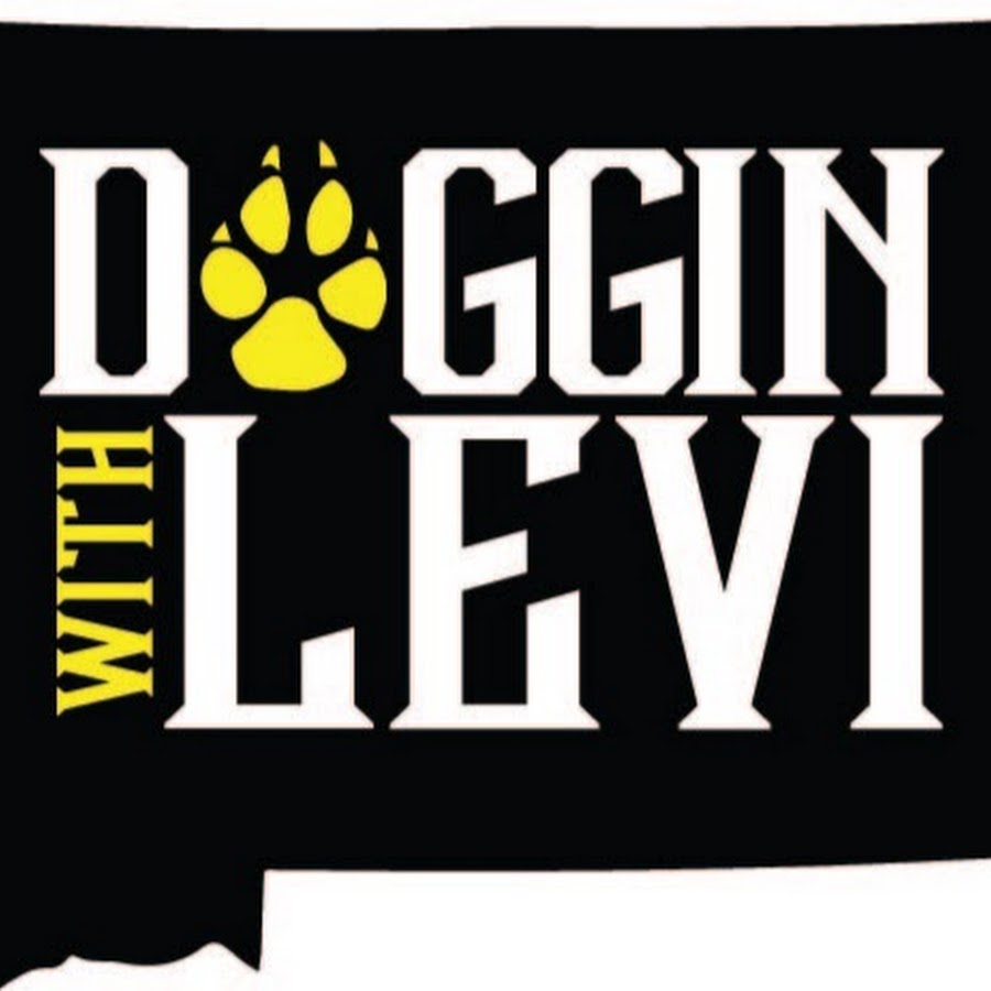 Doggin with Levi Johnson YouTube channel avatar