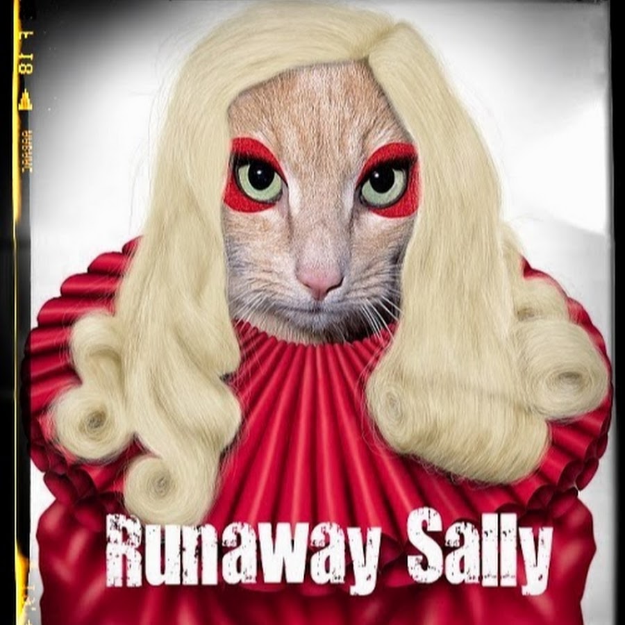 Runaway Sally YouTube channel avatar