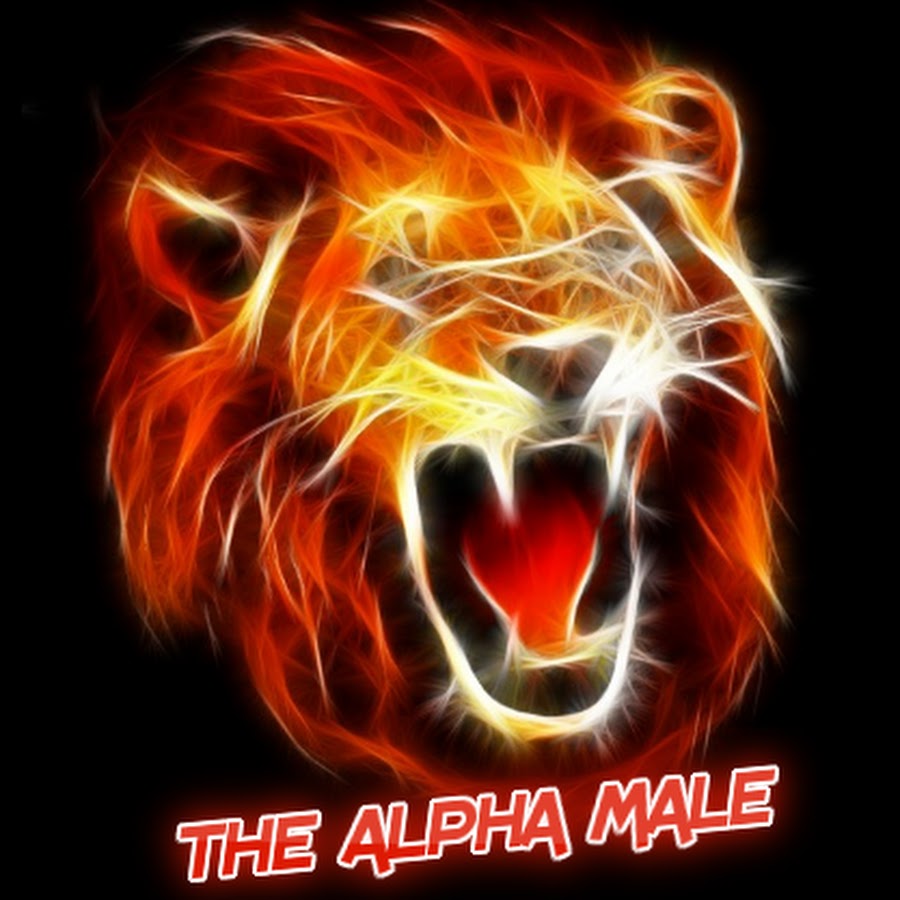 TheAlphaMale2271 YouTube channel avatar
