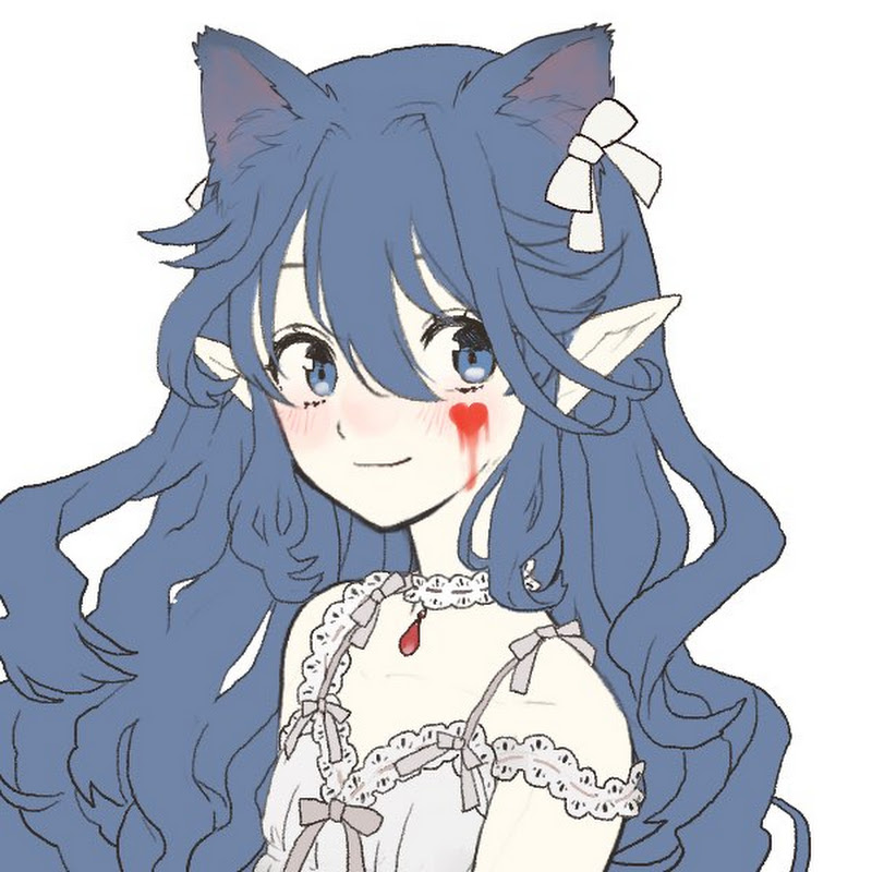 波斯貓 - 網紅的藏寶箱 