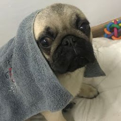 Renly Susan