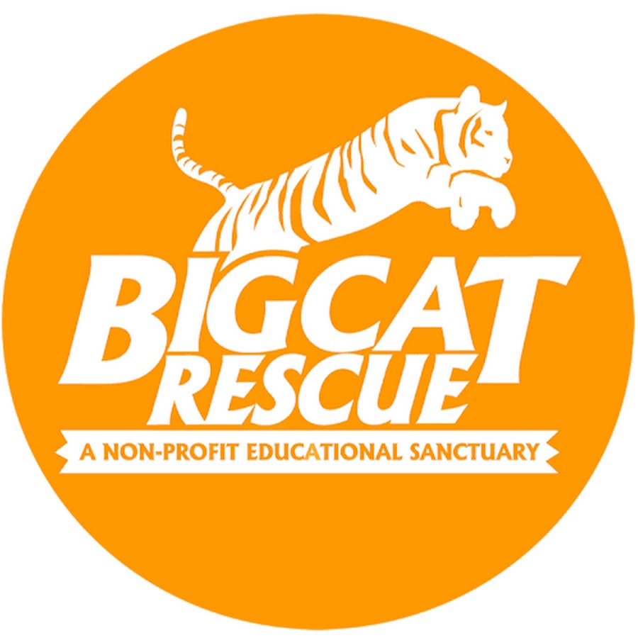 Big Cat Rescue Avatar del canal de YouTube