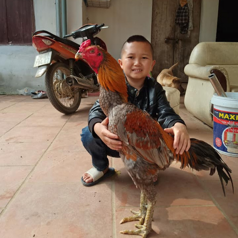 Ẩm Thực Mao Đệ Đệ - 網紅的藏寶箱 