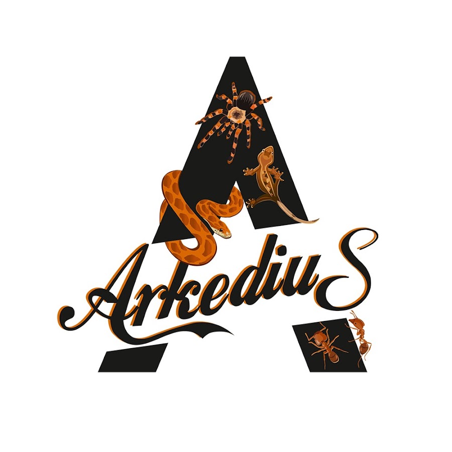 ArkediuS Avatar de chaîne YouTube