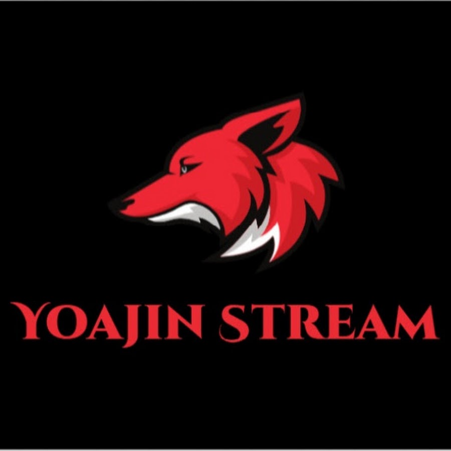 Yoajin YouTube channel avatar