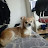 축복받은거부