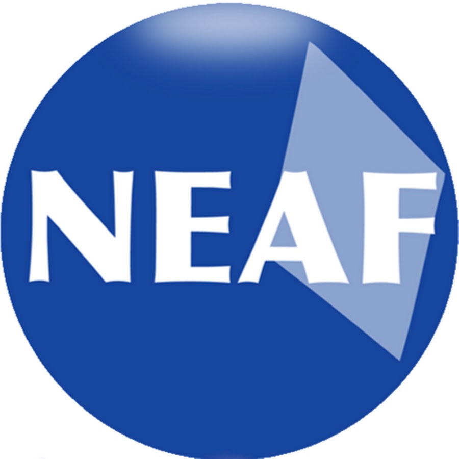 NEAF Concursos PÃºblicos رمز قناة اليوتيوب