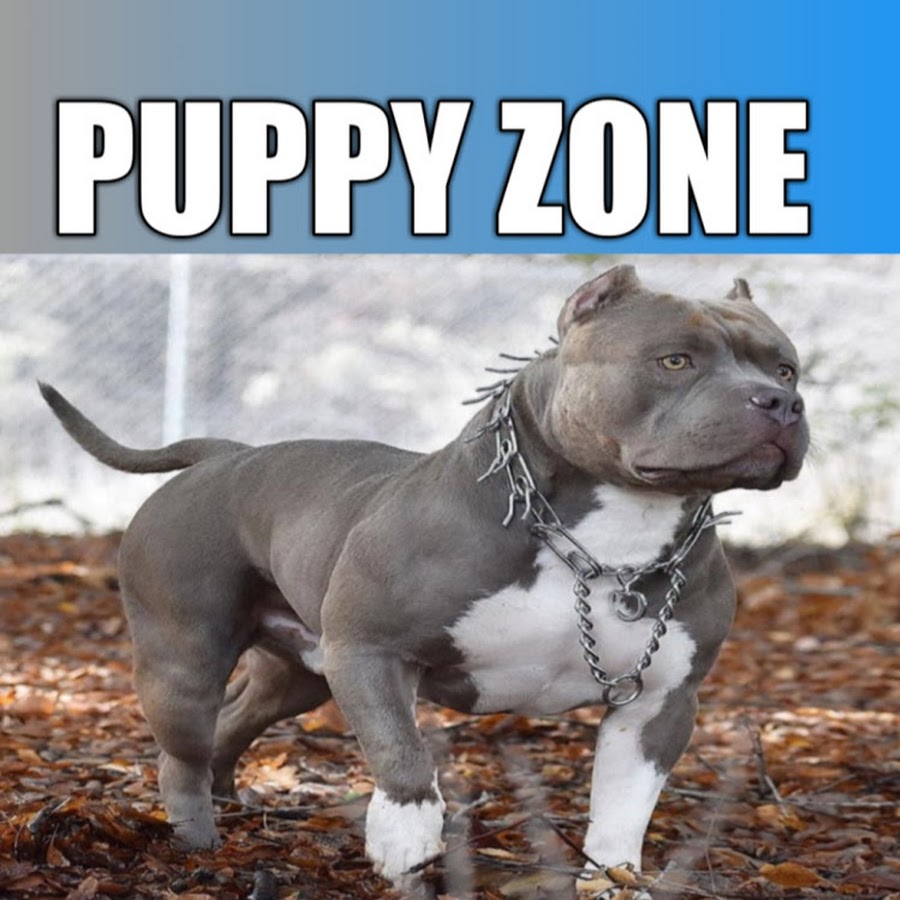 Puppies Zone