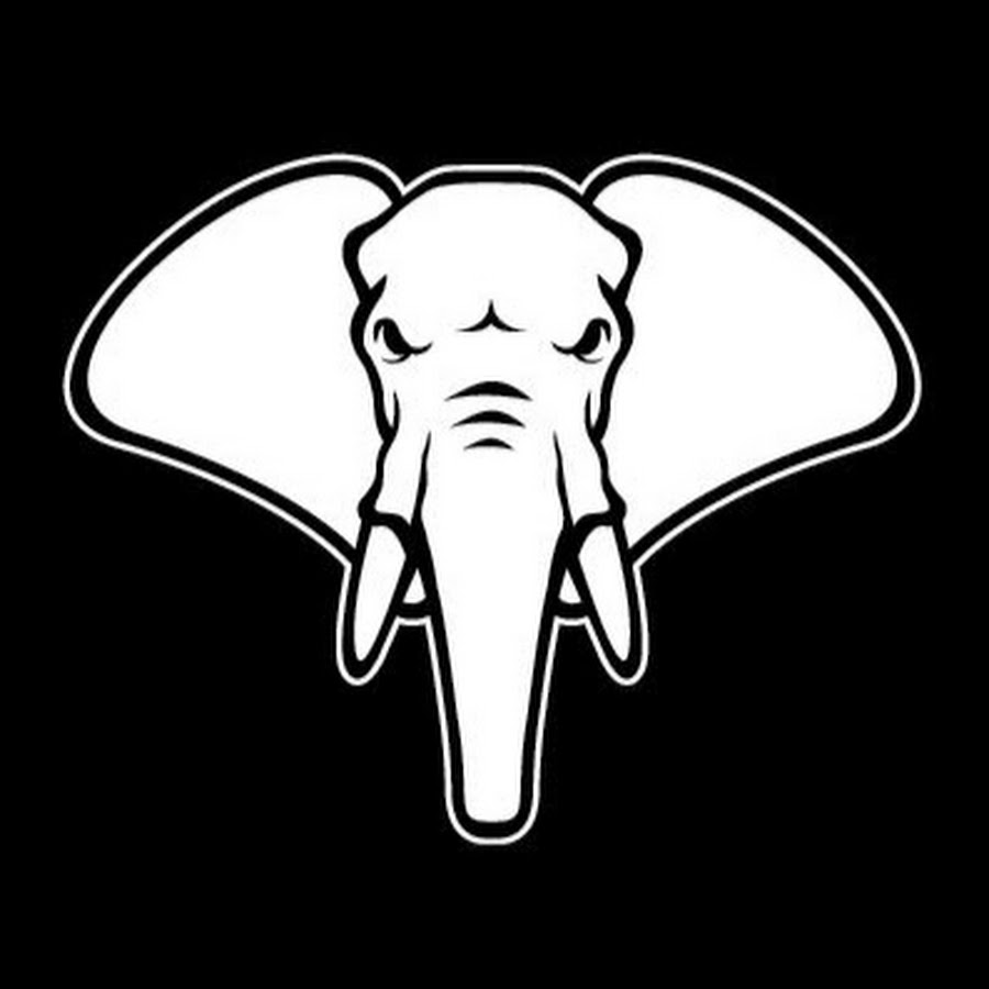 Young Elephants YouTube-Kanal-Avatar