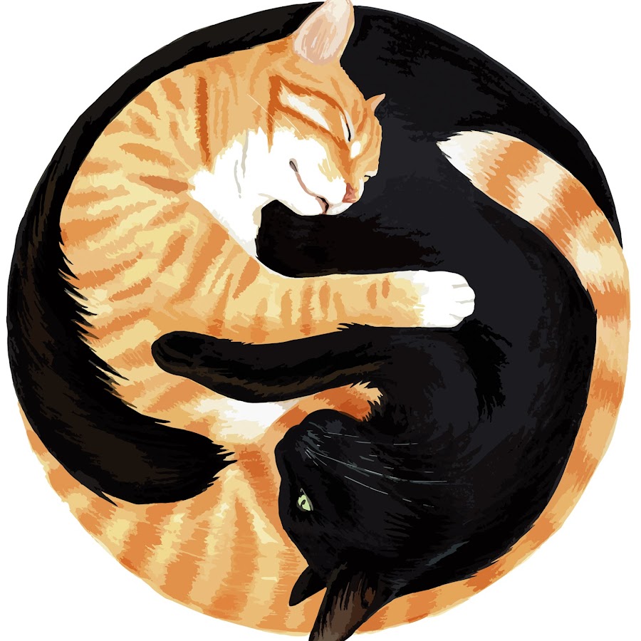 Cole and Marmalade YouTube channel avatar