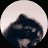 onon moon