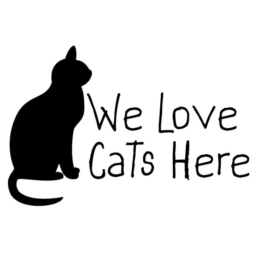 We Love Cats Here Avatar de chaîne YouTube