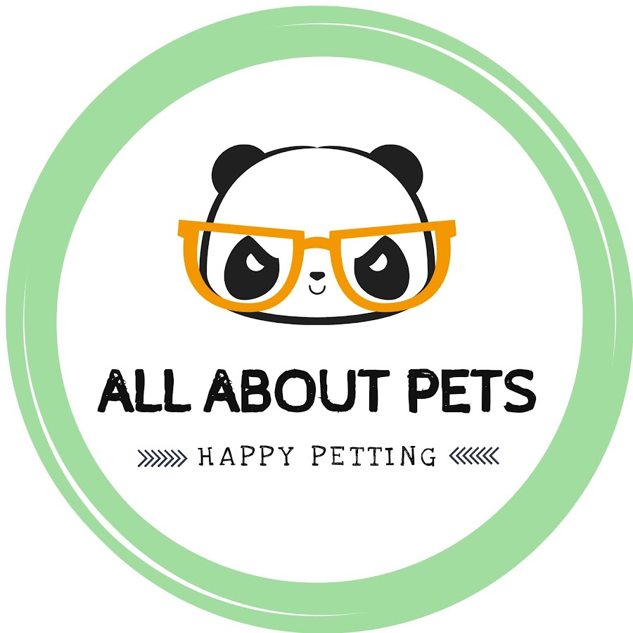 All About Pets Awatar kanału YouTube
