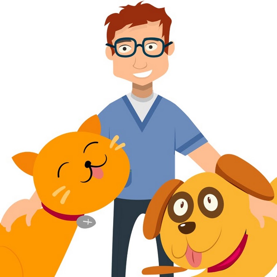 Our Pets Health YouTube channel avatar
