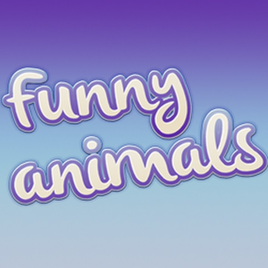Funny Animals YouTube-Kanal-Avatar