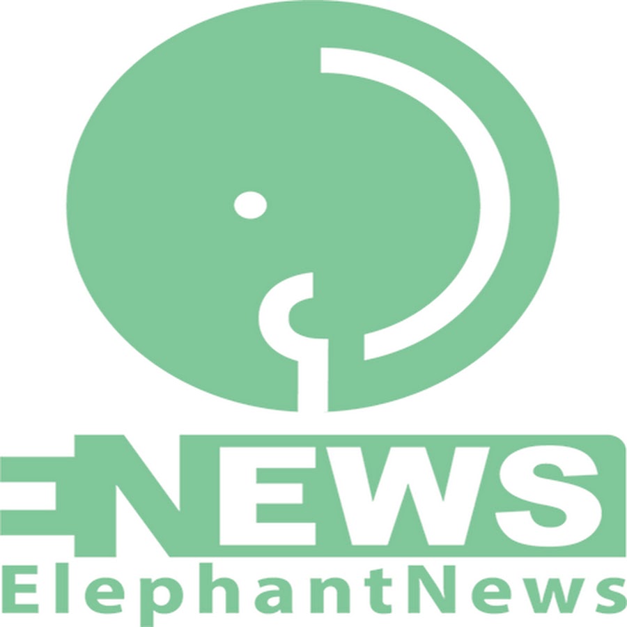 elephantnews Avatar canale YouTube 