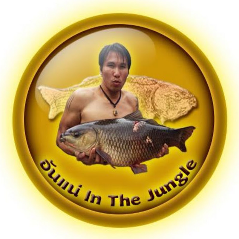 อันแน่ In The Jungle - 網紅的藏寶箱 