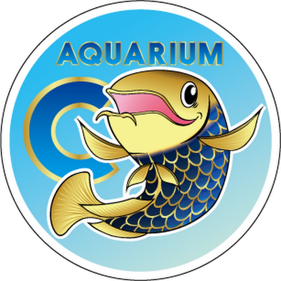 北関東の熱帯魚店 アクアショップしなの 店長ブログ