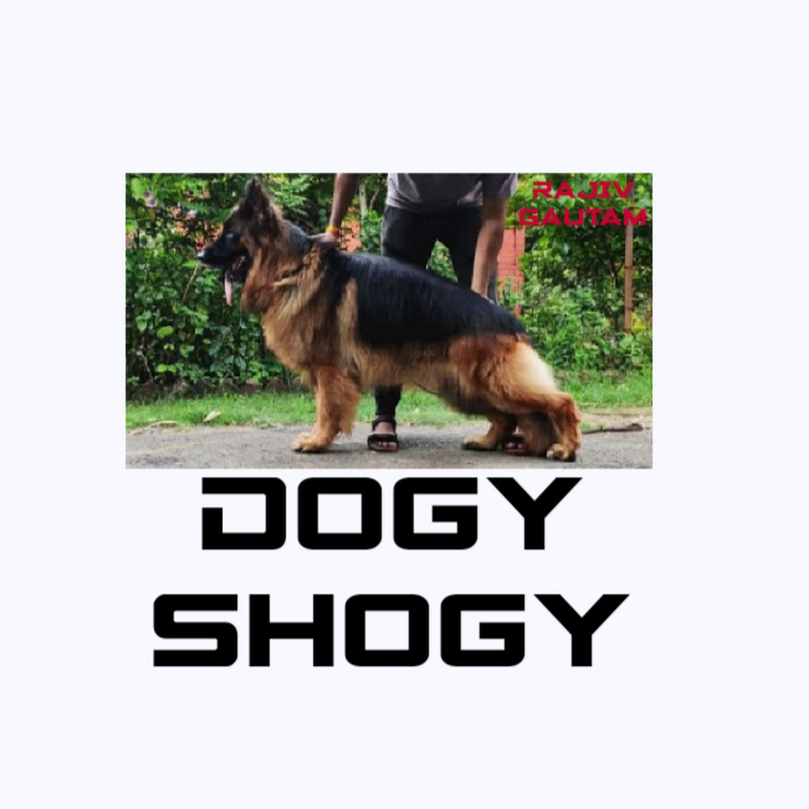 dogy shogy YouTube channel avatar
