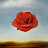 floweron화온