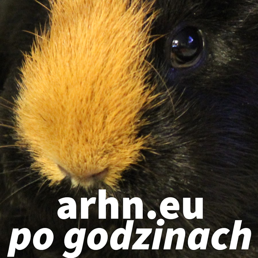 arhn2eu - arhn.eu po godzinach YouTube channel avatar