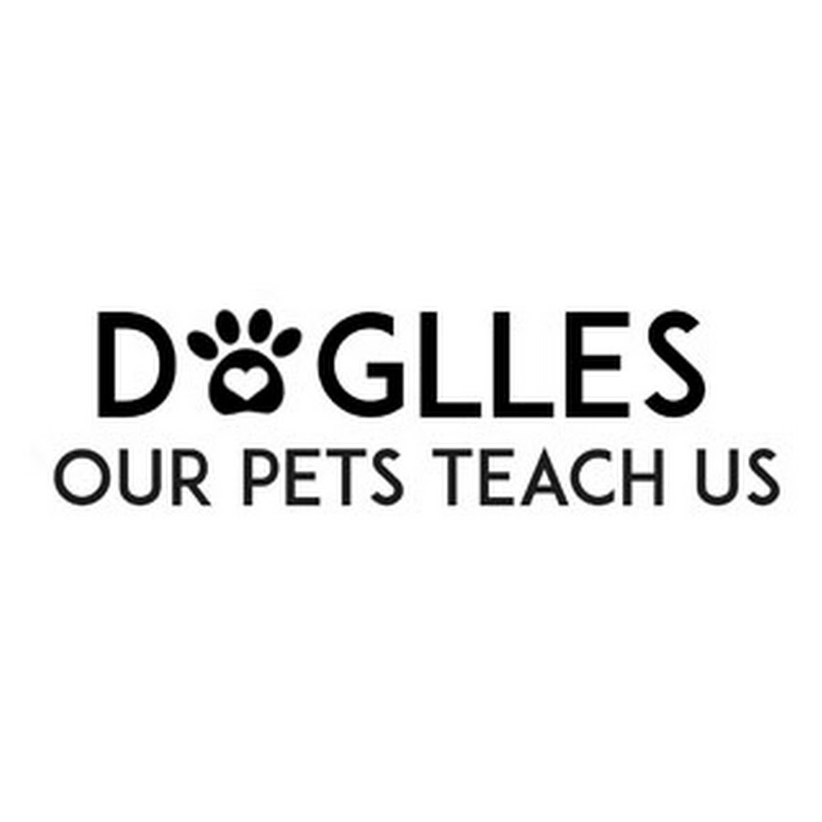 Doglles Our pets teach