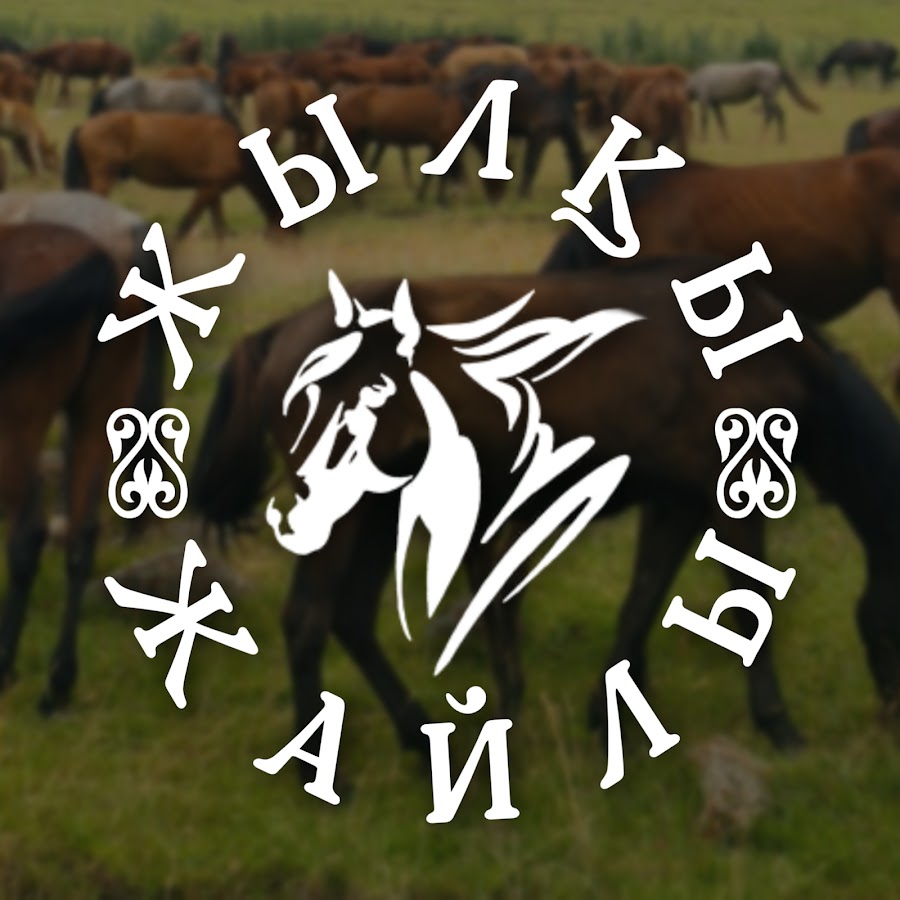 About Horses Аватар канала YouTube