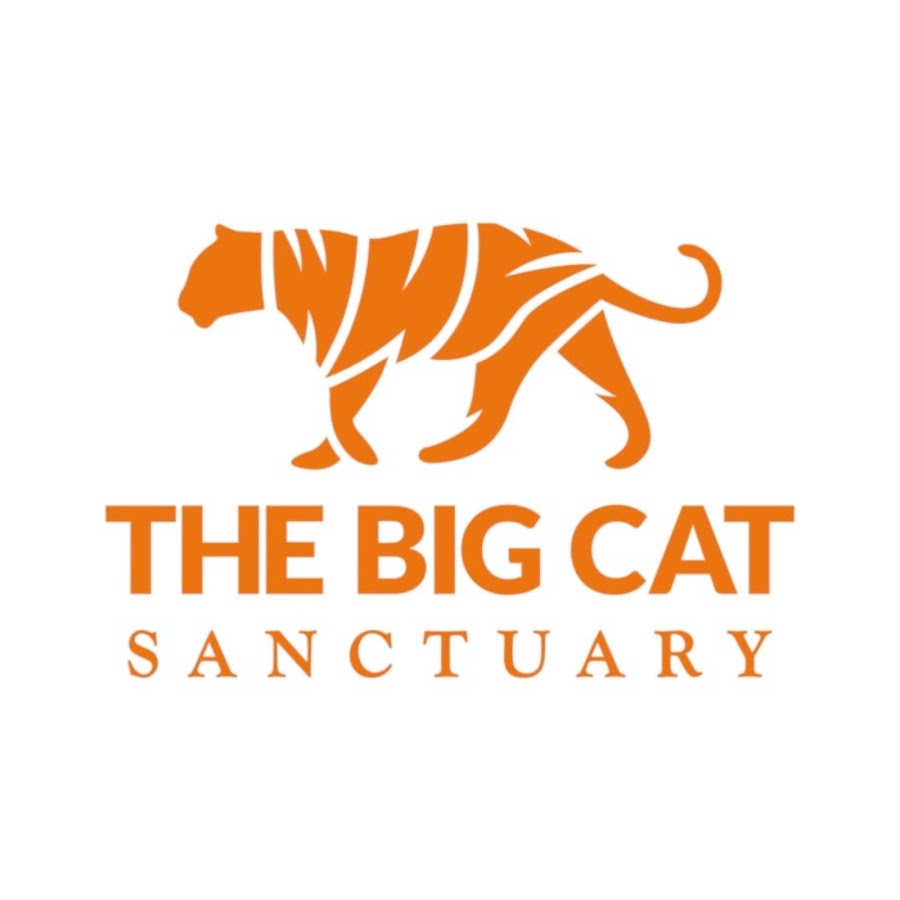 The Big Cat Sanctuary Avatar de canal de YouTube