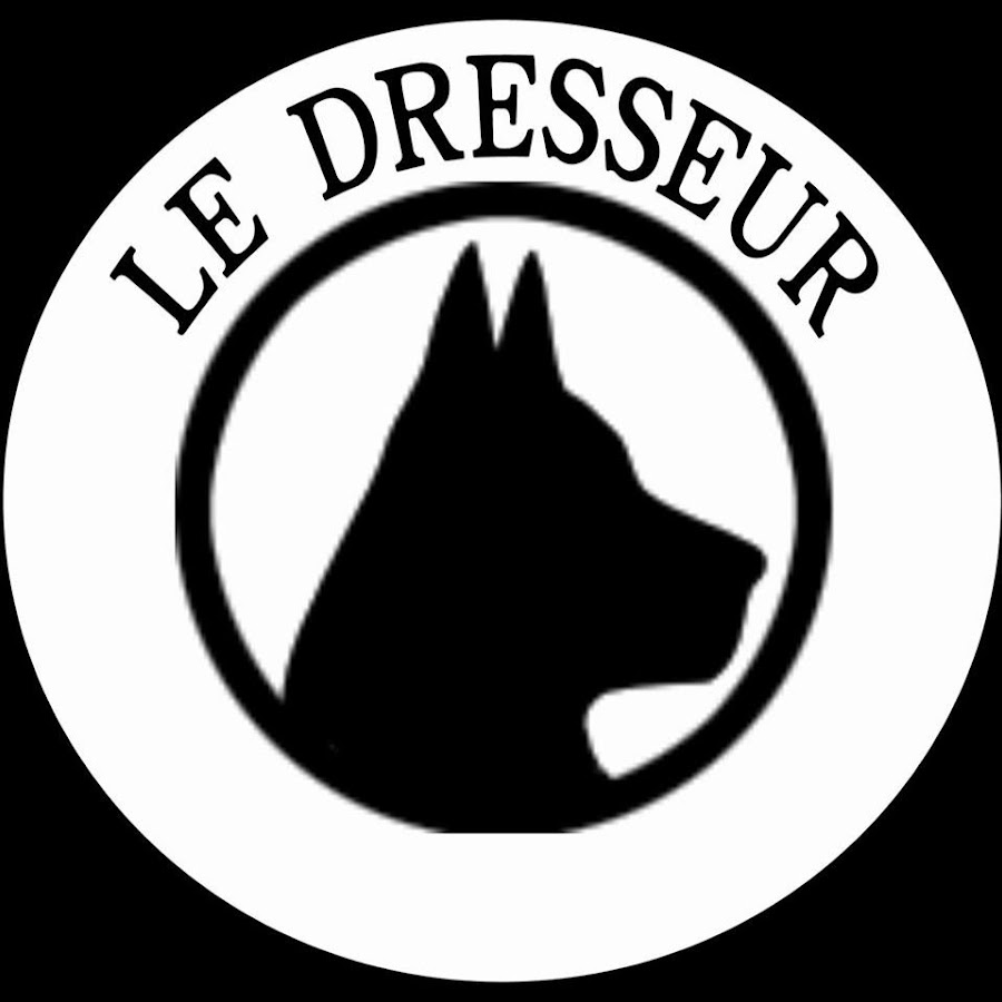 LeDresseur YouTube kanalı avatarı