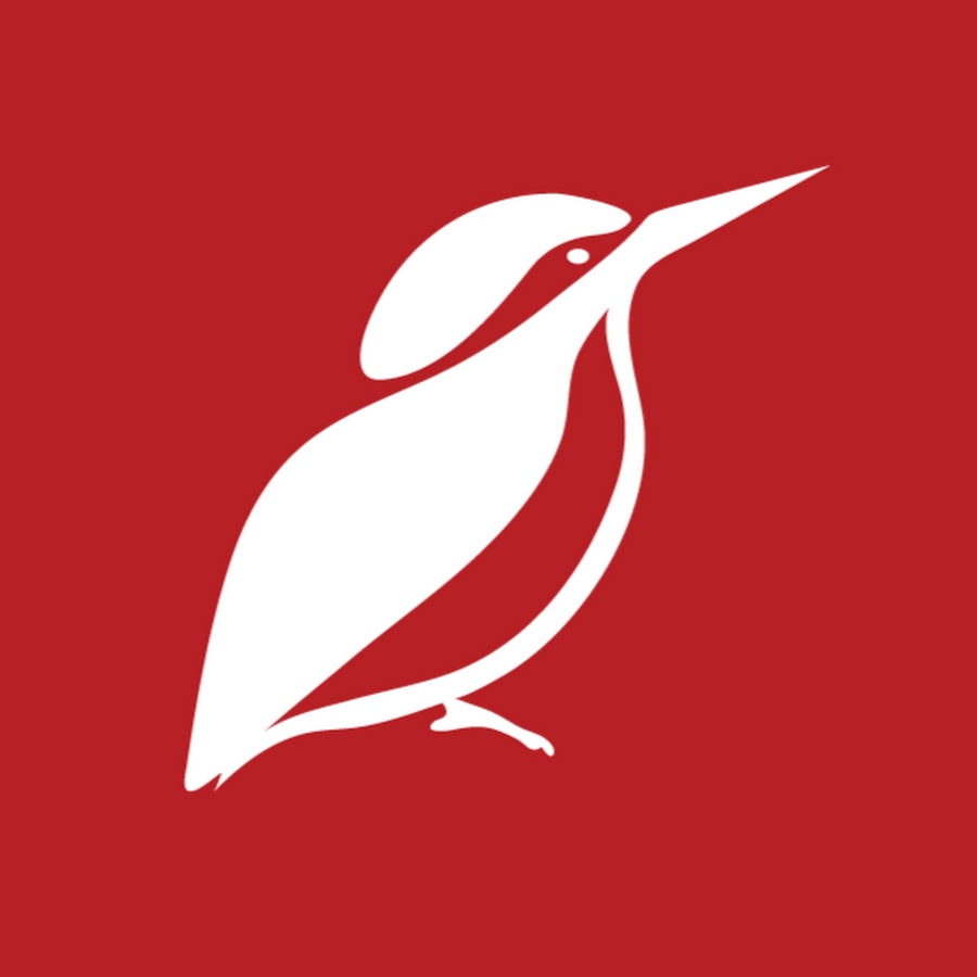 The Birders Store Awatar kanału YouTube