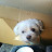 mh yoon