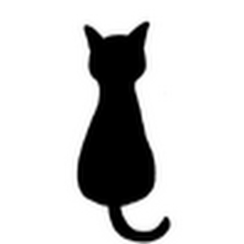 時雨 - 網紅的藏寶箱 