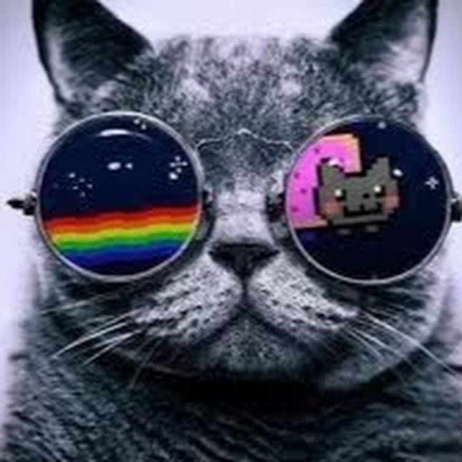 HappyCatto YouTube channel avatar