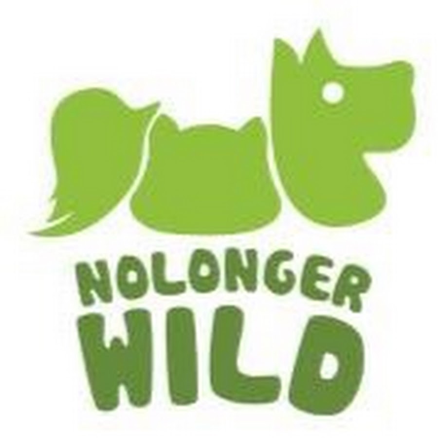NolongerWild YouTube channel avatar