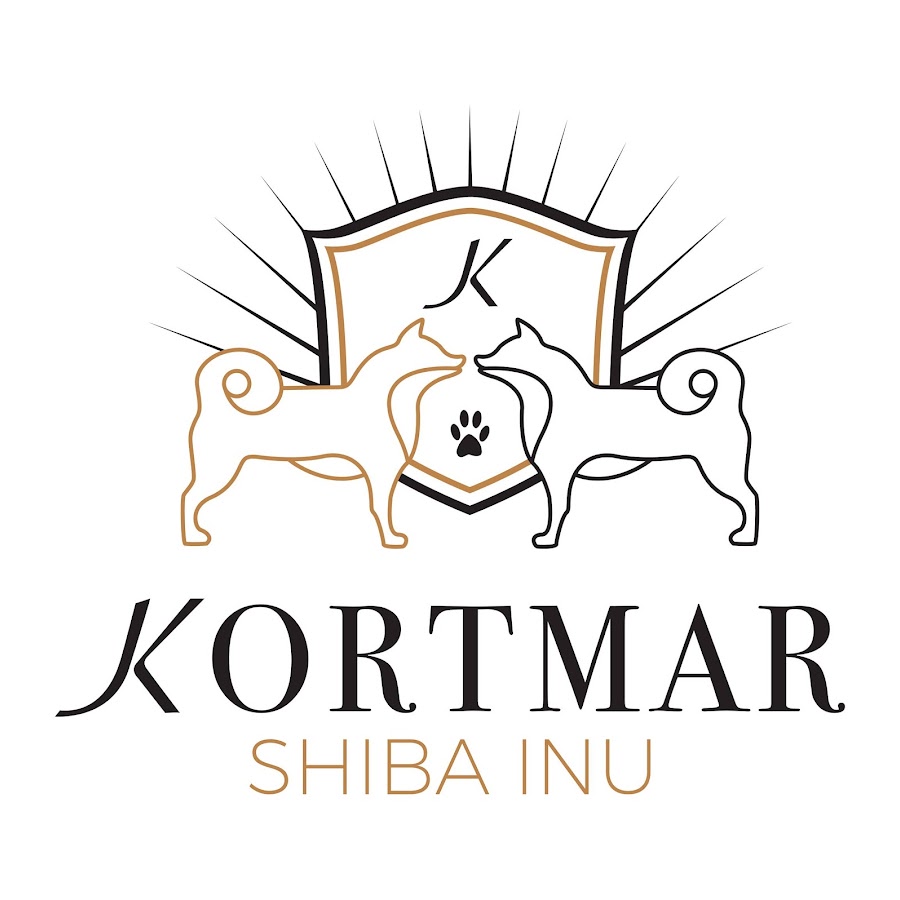 Kortmar Shiba Inu Avatar de chaîne YouTube