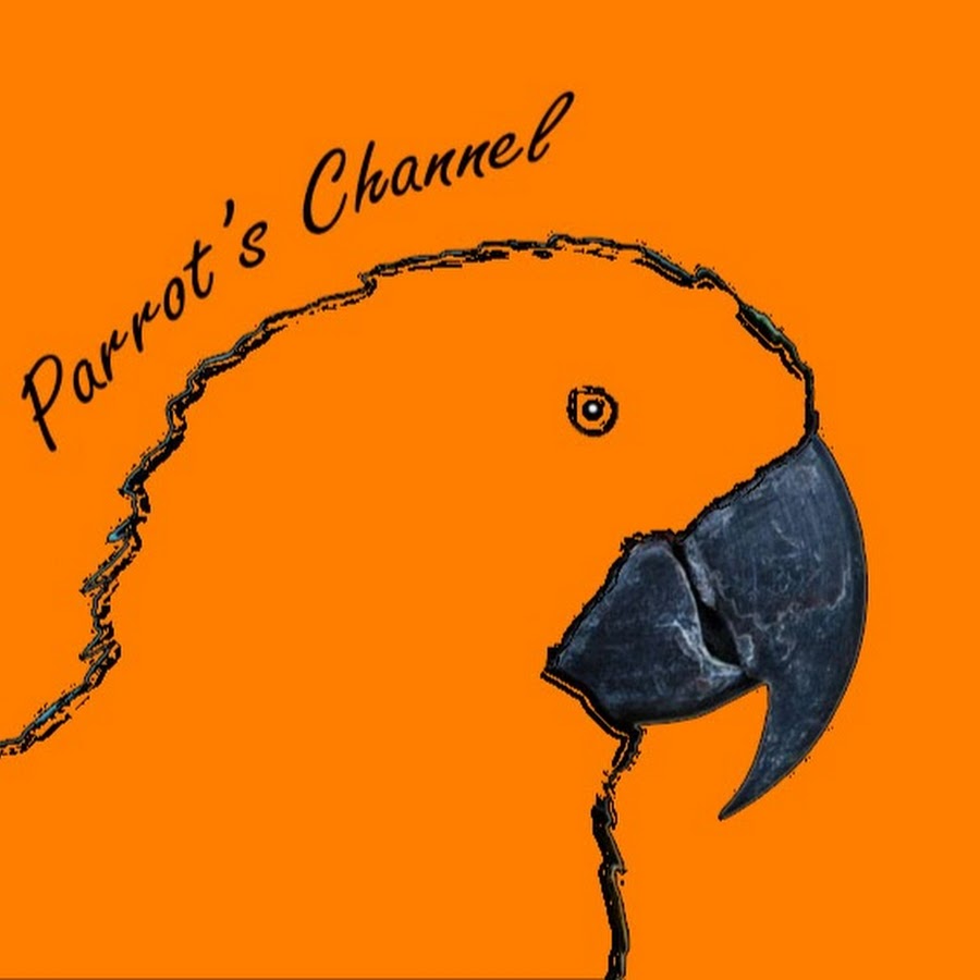 Parrot's Channel Avatar channel YouTube 