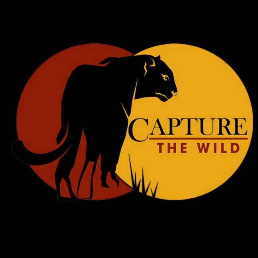 Capture The Wild Аватар канала YouTube