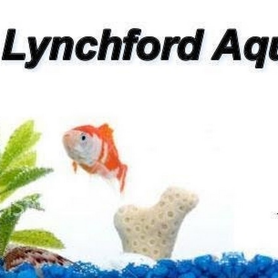 LynchfordAquatics YouTube kanalı avatarı